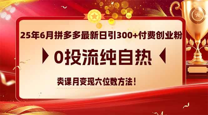 （14989期）25年6月拼多多最新日引300+付费创业粉，0投流纯自热 卖课月变现六位数方法-来福网创