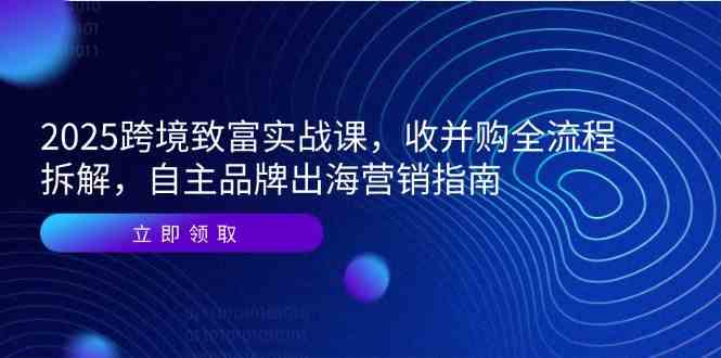 2025跨境致富实战课，收并购全流程拆解，自主品牌出海营销指南-来福网创