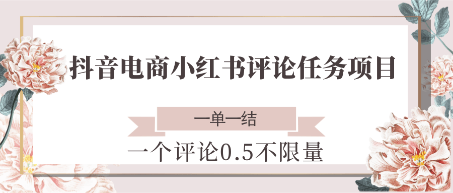 抖音电商小红书评论任务项目，一个评论0.5，一单一结 不限量-来福网创