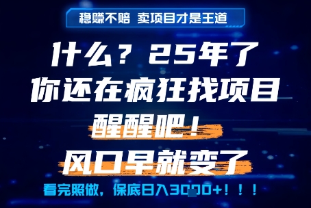 什么？25年你还在疯狂找项目做，醒醒吧，看完这些你全都懂了！【揭秘】-来福网创