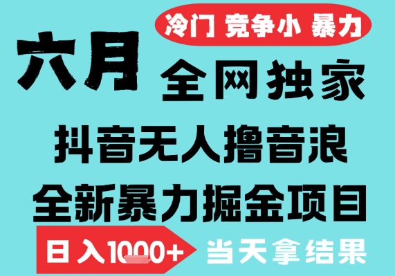 2025年6月高爆抖音无人直播最新撸音浪掘金项目，无脑日入1k+，低门槛小白可做，可矩阵放大【揭秘】-来福网创