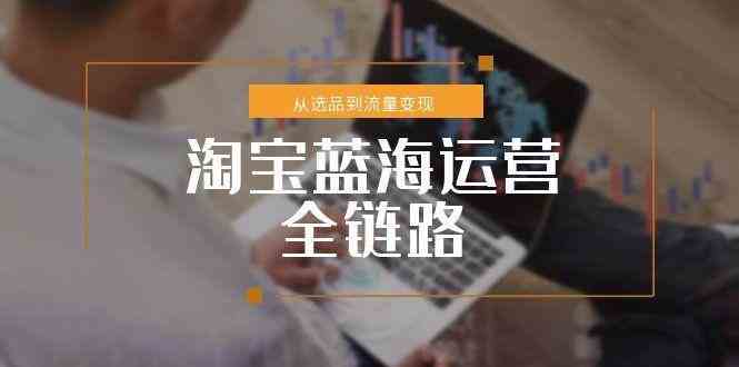 淘宝蓝海运营全链路，从选品到流量变现，小类目突围完整方案-来福网创