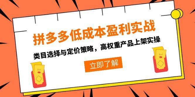 （15143期）拼多多低成本盈利实战，类目选择与定价策略，高权重产品上架实操-来福网创