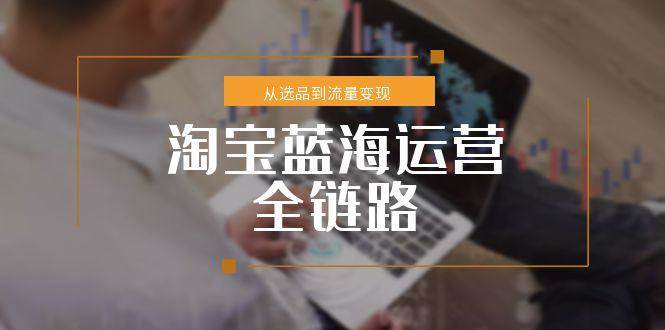 （15160期）淘宝蓝海运营全链路，从选品到流量变现，小类目突围完整方案-来福网创