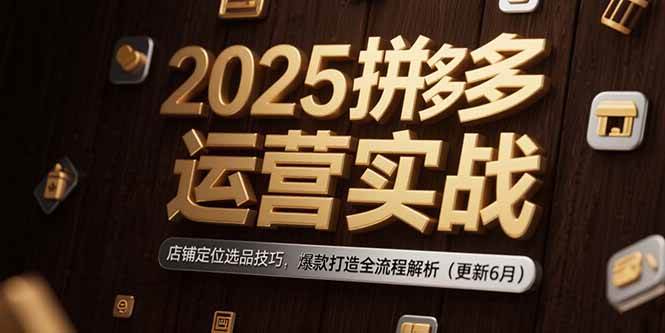 （15235期）2025拼多多运营实战：店铺定位选品技巧，爆款打造全流程解析（更新6月）-来福网创