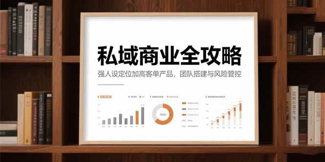 （15294期）私域商业全攻略，强人设定位加高客单产品，团队搭建与风险管控-来福网创