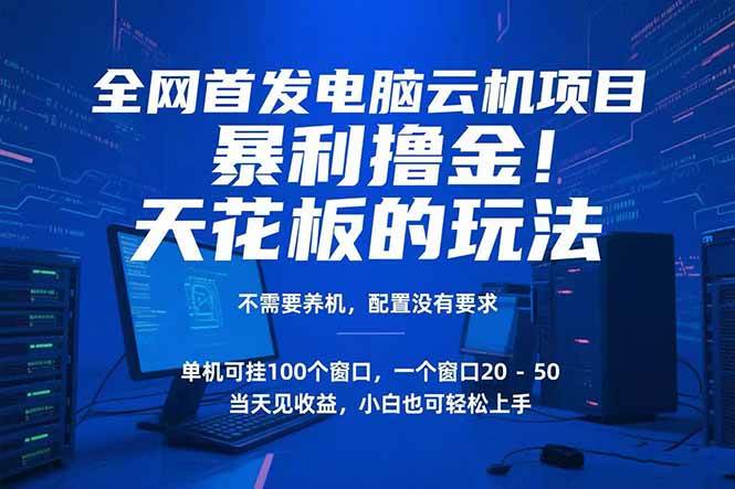 （15323期）电脑云机项目 暴力撸金玩法，不需要养机 配置没有要求 单机100个窗口一…-来福网创