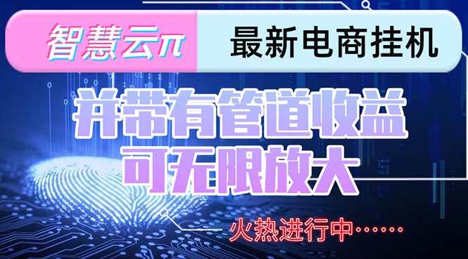 （15314期）智慧云π电脑挂机单机每天收益300—500+ 并带有团队管道收益 可无限放大-来福网创