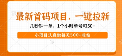 最新首码项目，操作最简单，收益高，一键拉新，1个小时单号可50+，小项目认真做每天5张+收益【揭秘】-来福网创