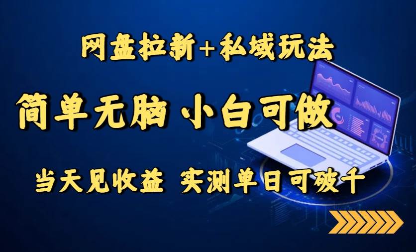 （15744期）网盘拉新+私域玩法，简单无脑，小白可做，当天见收益，实测单日可破千-来福网创
