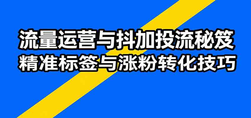 流量运营与抖加投流秘笈，含算法解析、爆款打造、精准标签与涨粉转化技巧-来福网创