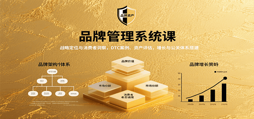 品牌管理系统课：战略定位与消费者洞察，DTC案例、资产评估，增长与公关体系搭建-来福网创