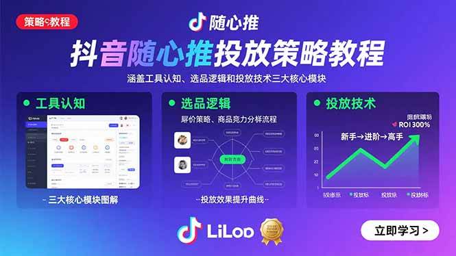 （15828期）抖音随心推投放策略教程：涵盖工具认知、选品逻辑和投放技术三大核心模块-来福网创