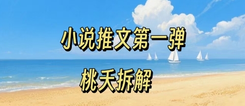小说推文项目操作全流程第一弹，0粉就能做，门槛低非常适合新手-来福网创
