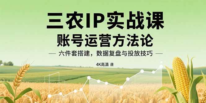 （15864期）三农IP实战课：账号运营方法论，六件套搭建，数据复盘与投放技巧-来福网创