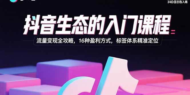（15856期）抖音生态的入门课程：流量变现全攻略，16种盈利方式，标签体系精准定位-来福网创