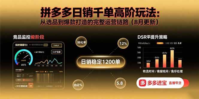 （15850期）拼多多日销千单高阶玩法：从选品到爆款打造的完整运营链路（8月更新）-来福网创