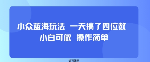 小众蓝海玩法 一天搞了四位数 小白可做 操作简单-来福网创