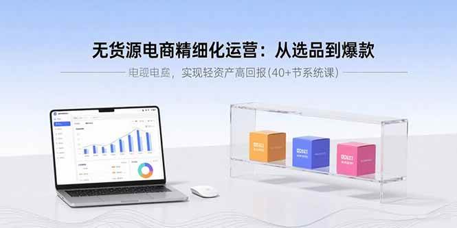 （15896期）无货源电商精细化运营：从选品到爆款，实现轻资产高回报(40+节系统课)-来福网创