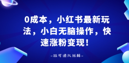 0成本，小红书最新玩法，小白无脑操作，快速涨粉变现-来福网创