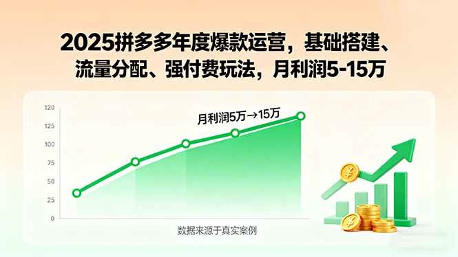 （15973期）2025拼多多年度爆款运营，基础搭建、流量分配、强付费玩法，月利润5-15万-来福网创