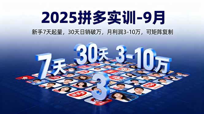 （16008期）2025拼多多实训-9月：新手7天起量,30天日销破万,月利润3-10万,可矩阵复制-来福网创