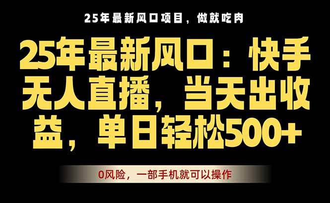 （16007期）25年最新无人直播玩法，当天秒出单，一部手机就可操作-来福网创