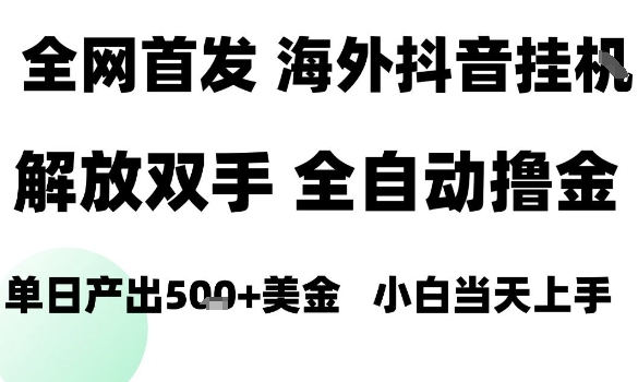 海外抖音无人直播，单日产出1.5k+，长期稳定，新手可玩，无脑操作【揭秘】-来福网创