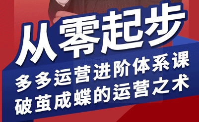 拼多多运营进阶系统课，从零起步，多多运营进阶体系课，破茧成蝶的运营之术（更新9月）-来福网创