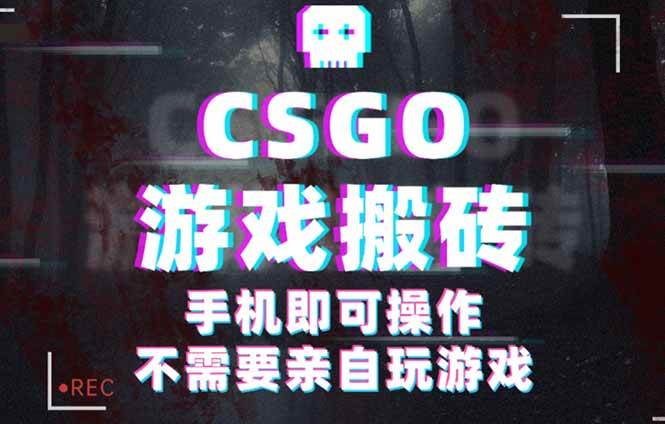 （16090期）CSGO游戏挂机捡漏，单日扫货500+，年底小高峰上车可吃肉，手机即可操作…-来福网创