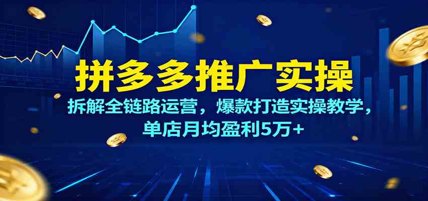 拼多多推广实操，拆解全链路运营，爆款打造实操教学，单店月均盈利5万+-来福网创