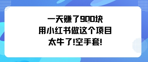一天挣了9张用小红书做这个项目太牛了，空手套-来福网创