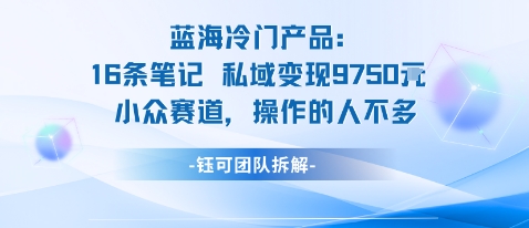蓝海项目：16条笔记私域变现9750米小众赛道操作的人不多-来福网创