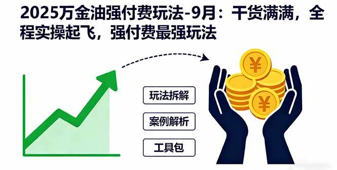 （16202期）2025万金油强付费玩法-9月：干货满满，全程实操起飞，强付费最强玩法-来福网创