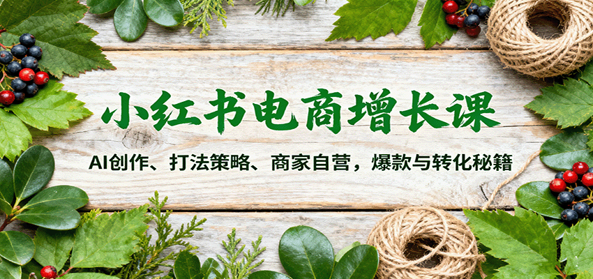 小红书电商增长课：AI创作、打法策略、商家自营，爆款与转化秘籍-来福网创