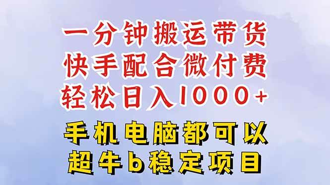 （16285期）快手黑科技一分钟搬运带货，一刀不剪过原创，微付费投流玩法，轻松日入…-来福网创