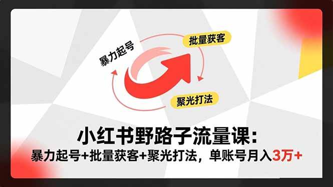 （16513期）小红书野路子流量课：暴力起号+批量获客+聚光打法，单账号月入3万+-来福网创