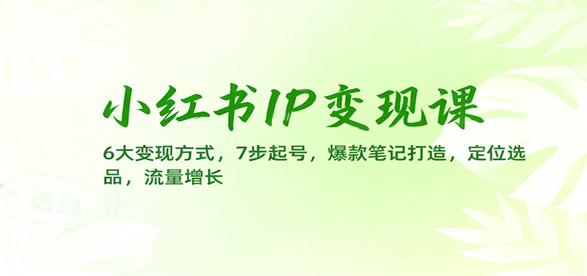 小红书IP变现课：6大变现方式，7步起号，爆款笔记打造，定位选品，流量增长-来福网创