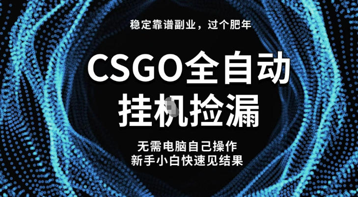 【稳定副业】全球最热门游戏CSGO全自动捡漏，最新玩法，新手小白日入5张+【揭秘】-来福网创