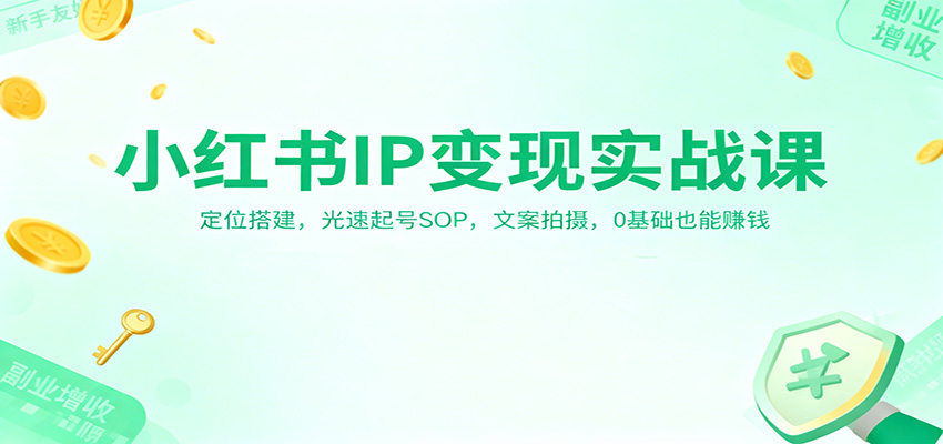 小红书IP变现实战课：定位搭建，光速起号SOP，文案拍摄，0基础也能赚钱-来福网创
