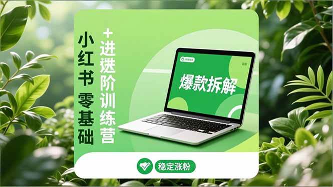 （16801期）小红书零基础+高阶训练营：安全养号、爆款拆解、长效运营，实现稳定涨粉与变现-来福网创