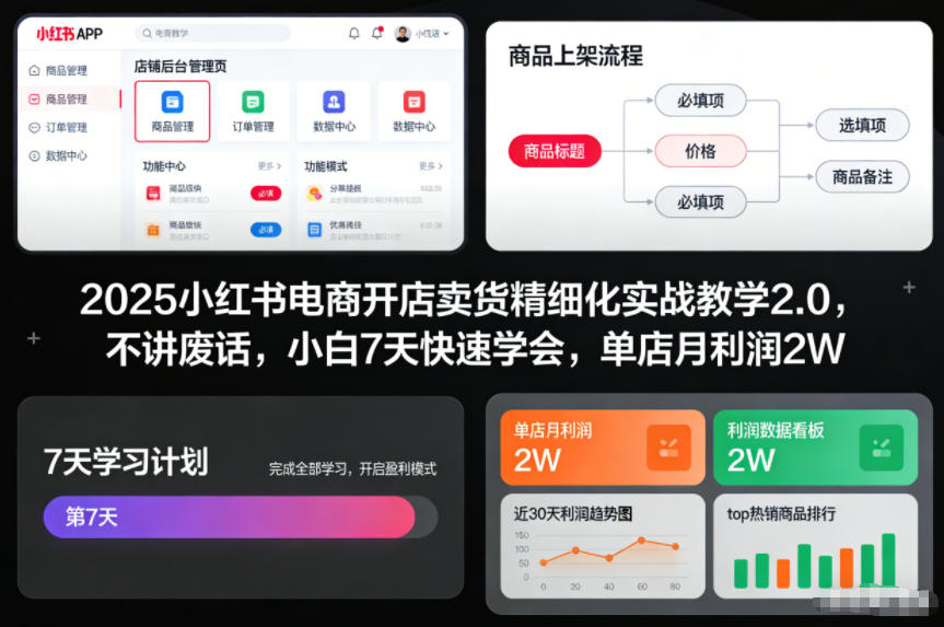 2025小红书电商开店卖货精细化实战教学2.0，不讲废话，小白7天快速学会，单店月利润2W-来福网创